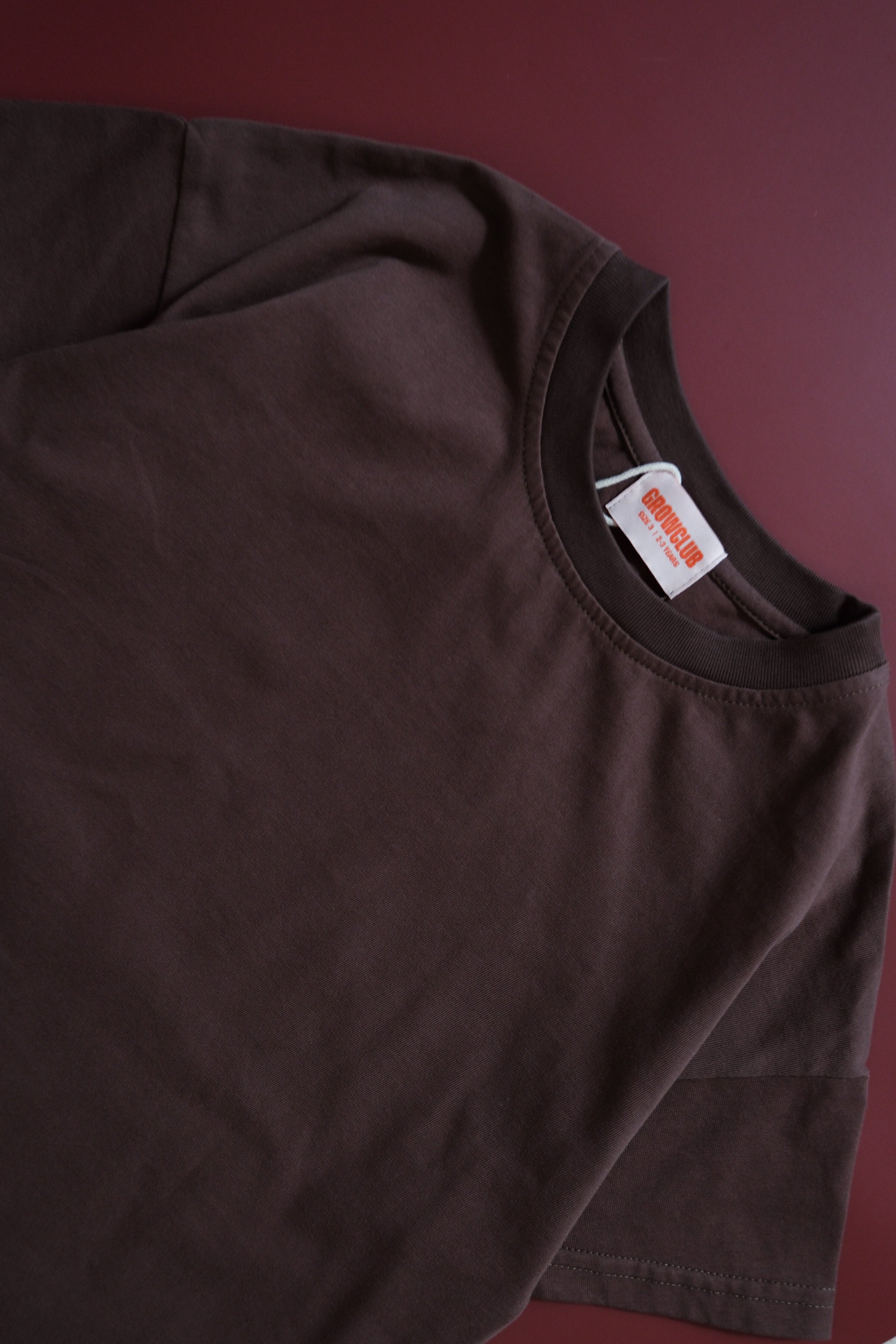 Basic Acid Wash Tee - Chocolate