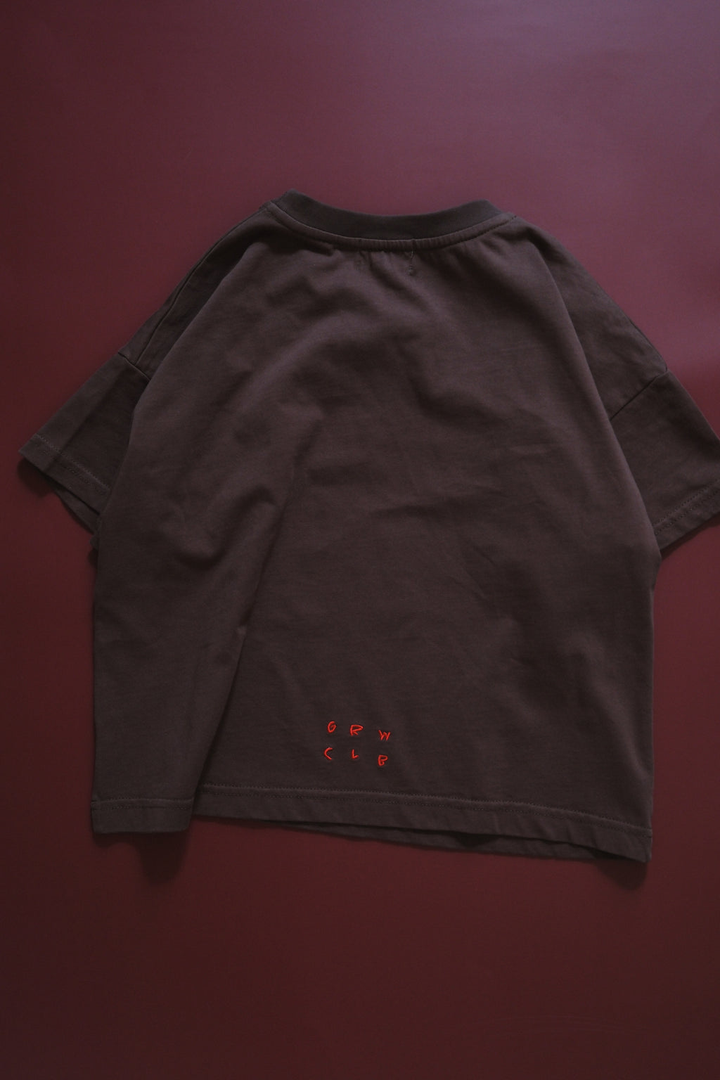 Basic Acid Wash Tee - Chocolate