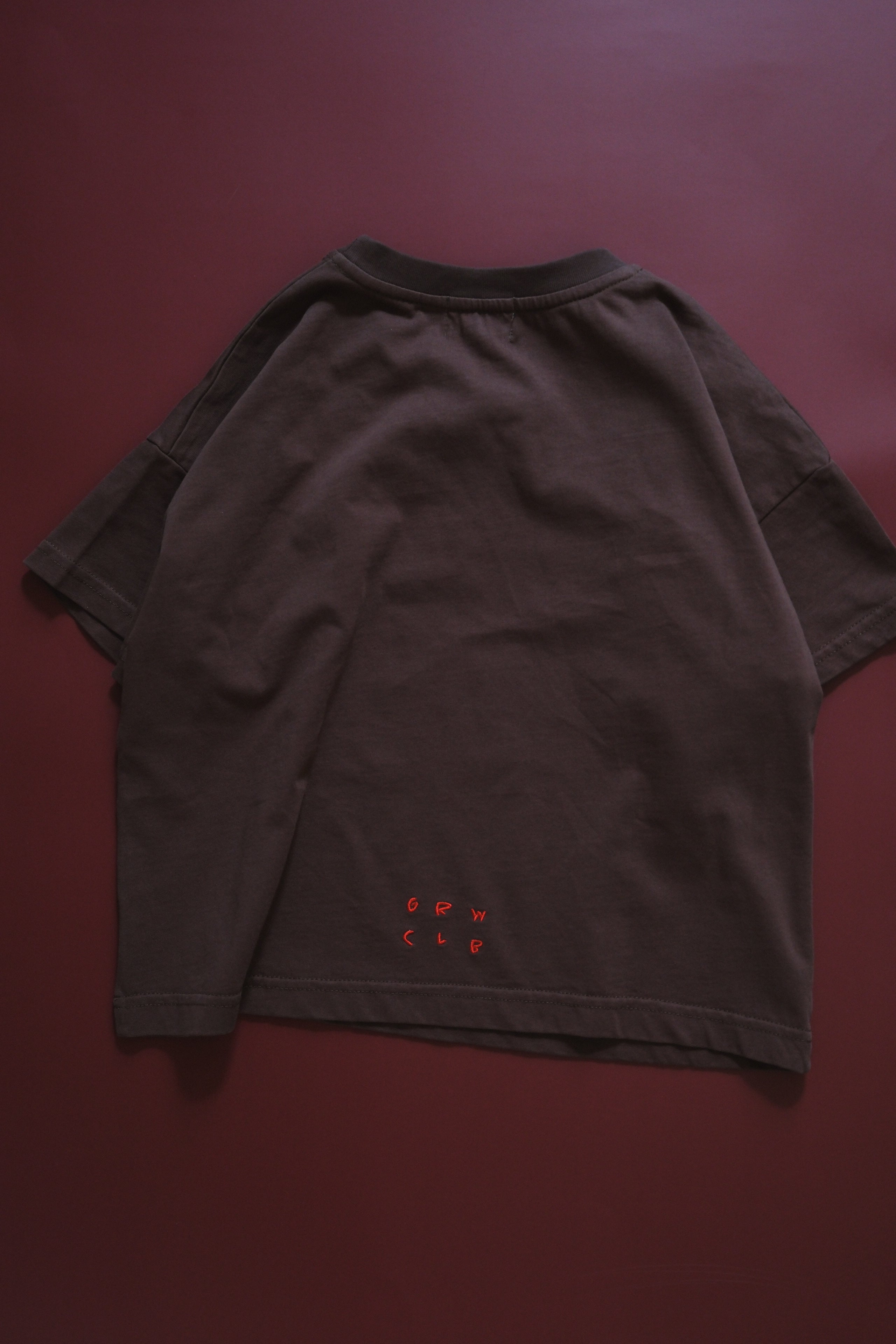 Basic Acid Wash Tee - Chocolate